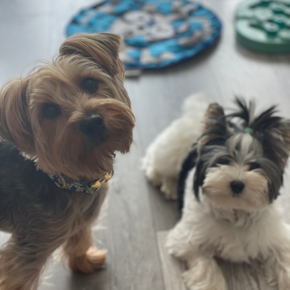 Meet your Posher, Nicole